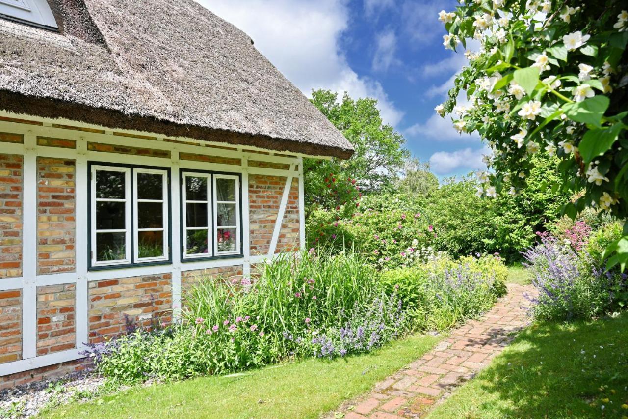 Landhaus Vilmnitz - Wohnung 9 Exterior foto