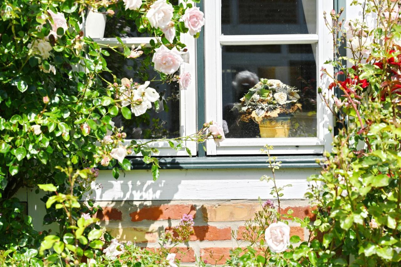 Landhaus Vilmnitz - Wohnung 9 Exterior foto